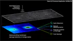 Non-destructive evaluation of bridge deck waterproofing membranes for asset management
