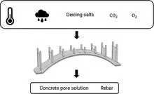 Corrosion Prediction with 3D Model Utilizing Meteorological Data and Properties of Site-extracted Rebar and Concrete
