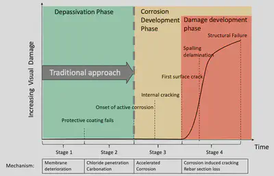 life cycle image